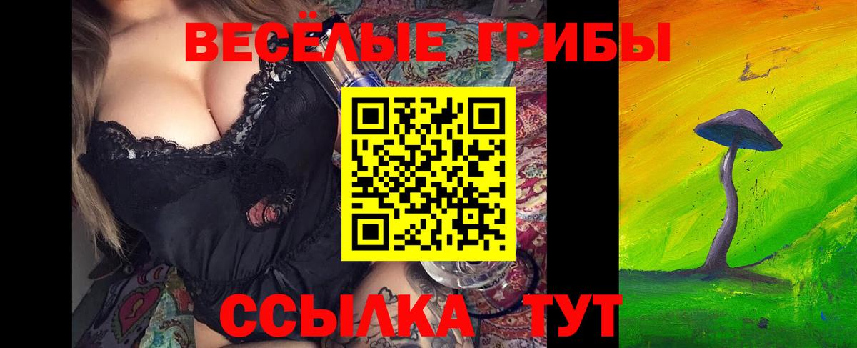 Псилоцибиновые грибы Psilocybine cubensis Торжок