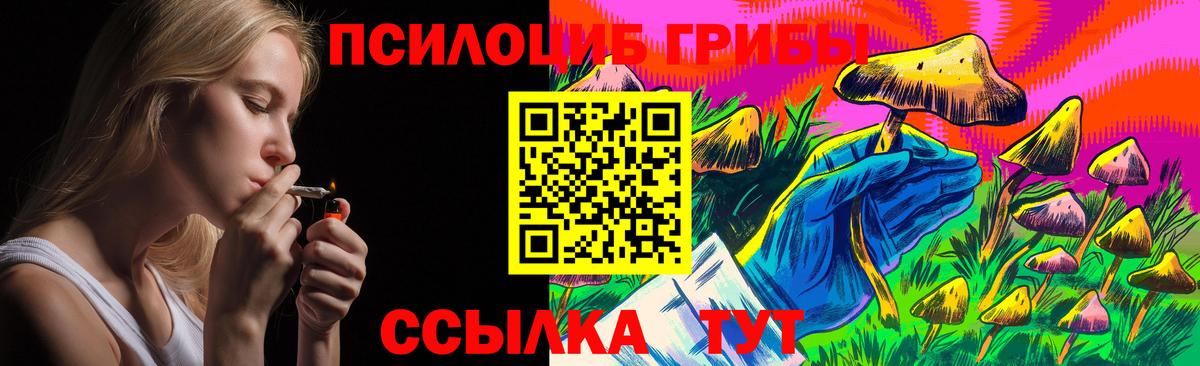 Псилоцибиновые грибы MAGIC MUSHROOMS  Вход с VPN  где продают   Торжок 