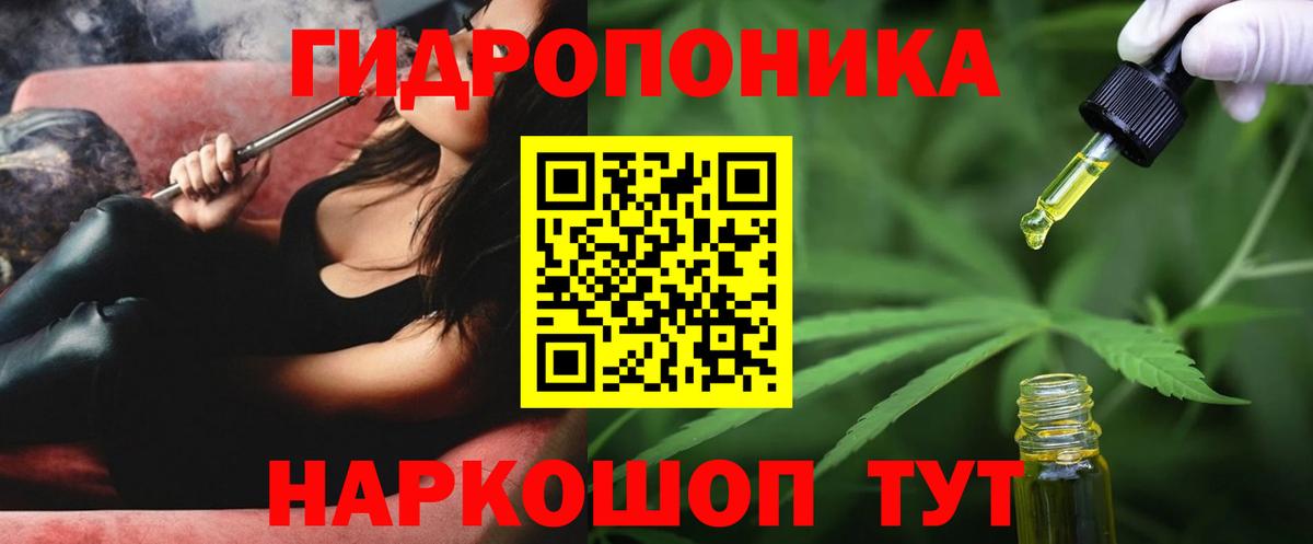 Бошки марихуана AK-47  Шишки марихуана AK-47  Каннабис гибрид  Бошки марихуана планчик  Вход с VPN  Торжок 